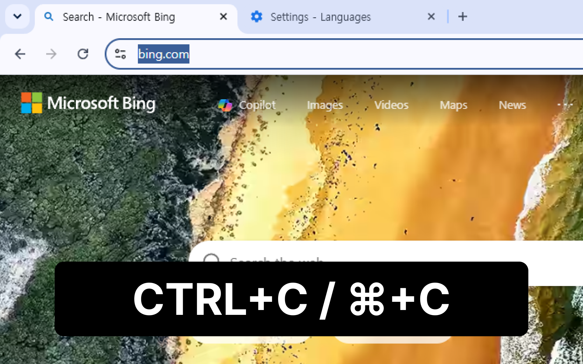 URL input and add button on the Urlala desktop home screen